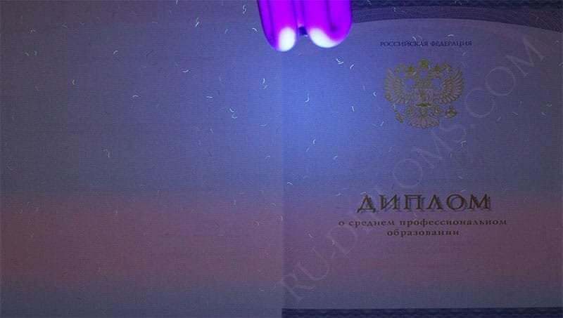 Диплом техникума или колледжа 2014-2025 НОВОГО ОБРАЗЦА 