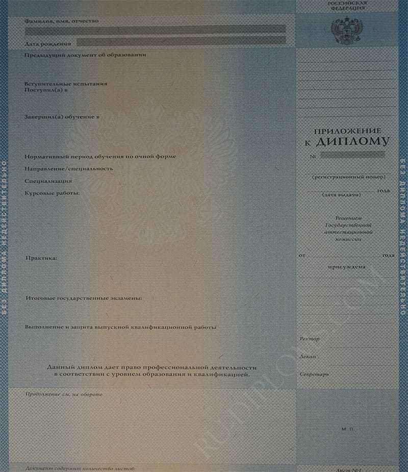 Диплом бакалавра 2004-2009 год  